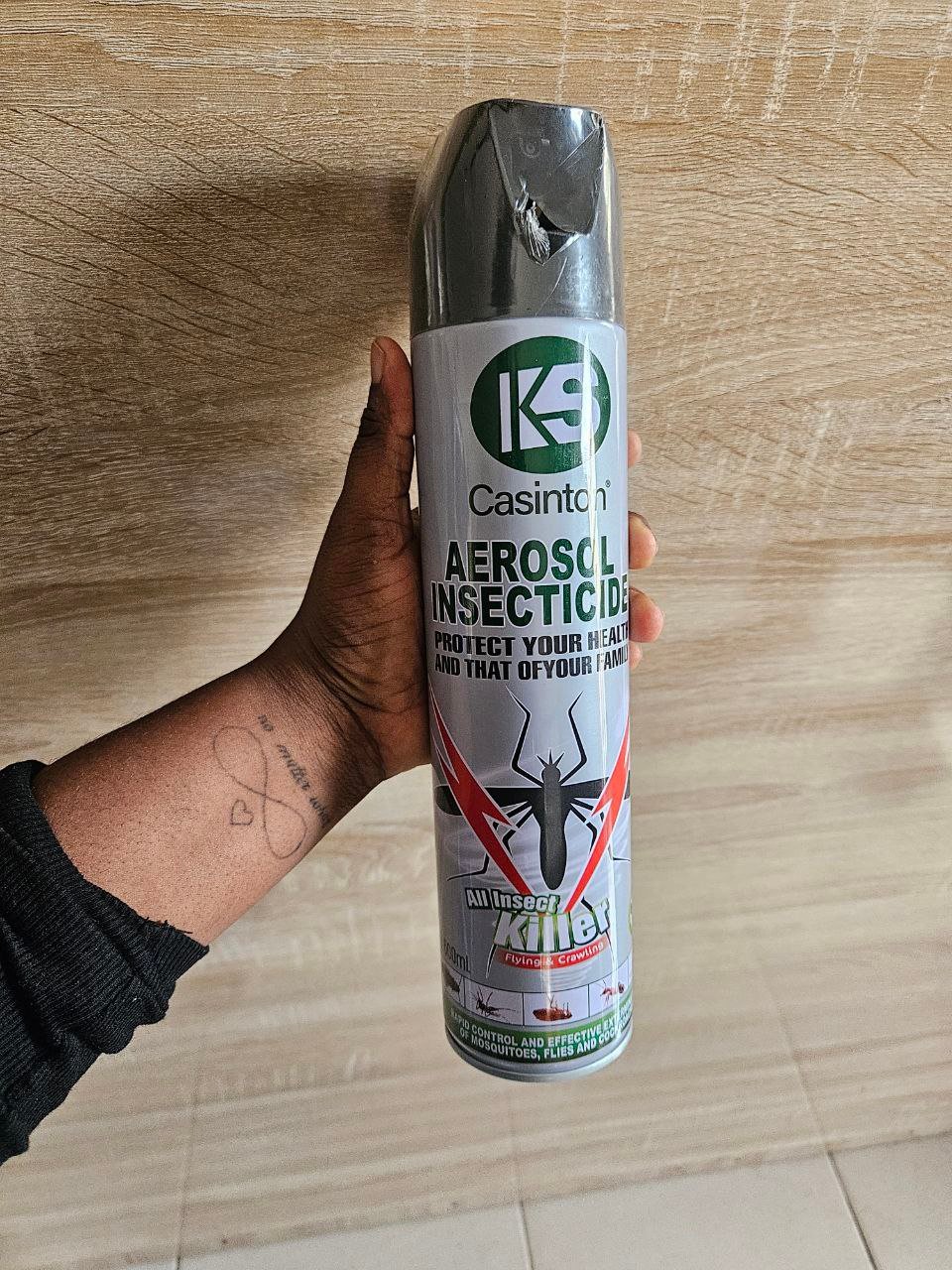 AEROSOL INSECTICIDE SPRAY